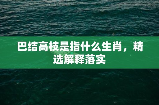 巴结高枝是指什么生肖，精选解释落实