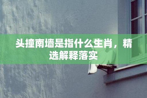 头撞南墙是指什么生肖，精选解释落实