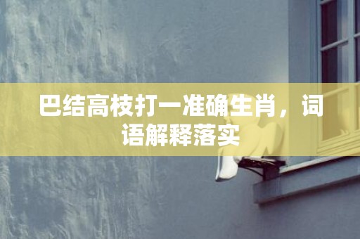 巴结高枝打一准确生肖，词语解释落实