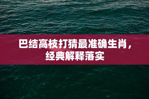 巴结高枝打猜最准确生肖，经典解释落实