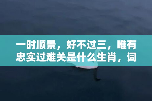 一时顺景，好不过三，唯有忠实过难关是什么生肖，词语解释落实