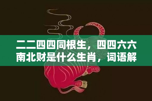 二二四四同根生，四四六六南北财是什么生肖，词语解释落实