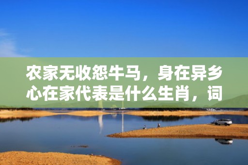 农家无收怨牛马，身在异乡心在家代表是什么生肖，词语精选落实