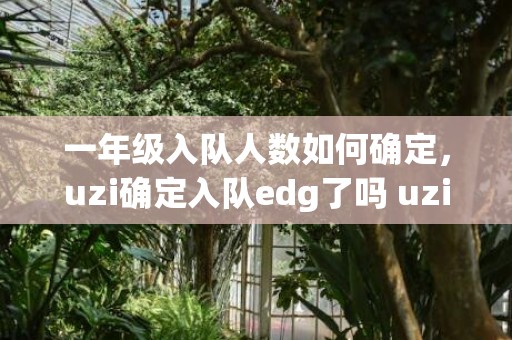 一年级入队人数如何确定，uzi确定入队edg了吗 uzi复出上场最新消息