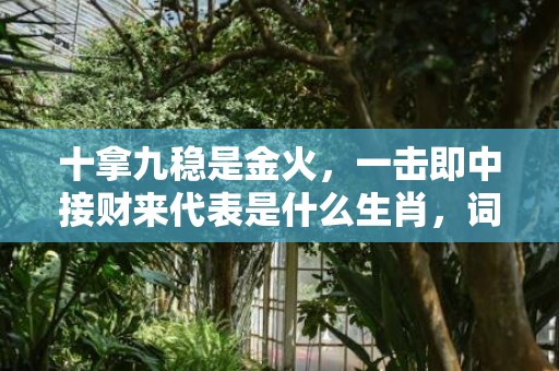 十拿九稳是金火，一击即中接财来代表是什么生肖，词语精选落实