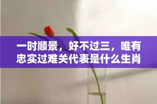 一时顺景，好不过三，唯有忠实过难关代表是什么生肖，词语精选落实