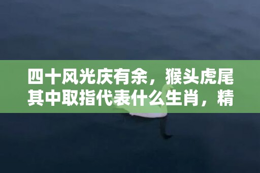 四十风光庆有余，猴头虎尾其中取指代表什么生肖，精选答案落实