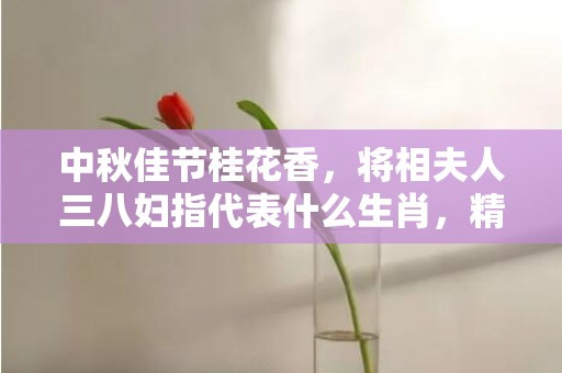 中秋佳节桂花香，将相夫人三八妇指代表什么生肖，精选答案落实