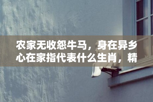 农家无收怨牛马，身在异乡心在家指代表什么生肖，精选答案落实