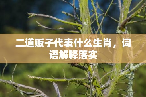 二道贩子代表什么生肖，词语解释落实