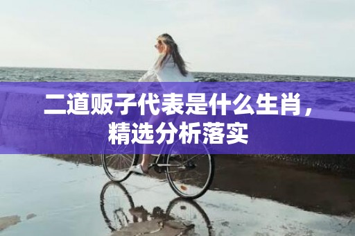 二道贩子代表是什么生肖，精选分析落实