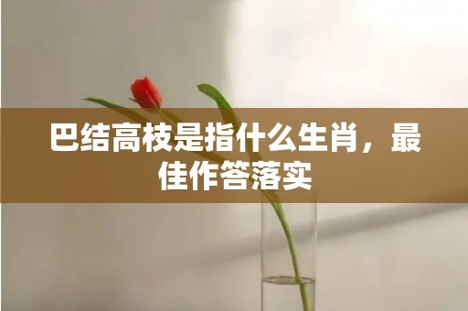 巴结高枝是指什么生肖，最佳作答落实