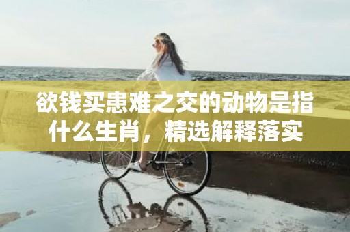 欲钱买患难之交的动物是指什么生肖，精选解释落实