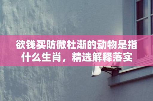 欲钱买防微杜渐的动物是指什么生肖，精选解释落实