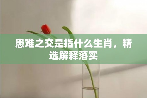 患难之交是指什么生肖，精选解释落实