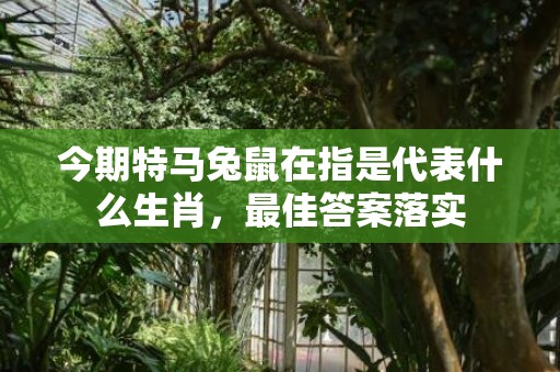 今期特马兔鼠在指是代表什么生肖，最佳答案落实