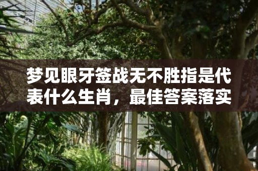 梦见眼牙签战无不胜指是代表什么生肖，最佳答案落实