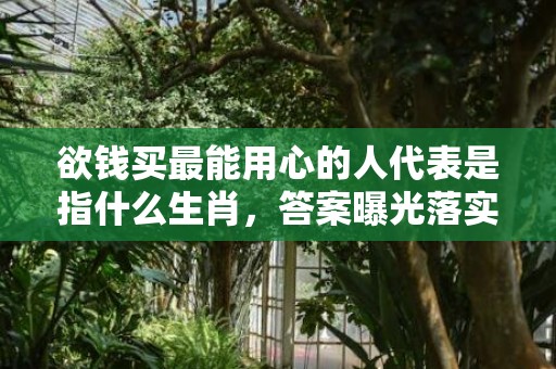 欲钱买最能用心的人代表是指什么生肖，答案曝光落实