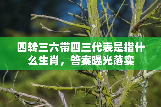 四转三六带四三代表是指什么生肖，答案曝光落实