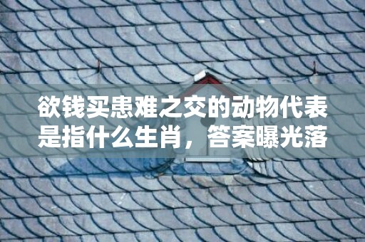 欲钱买患难之交的动物代表是指什么生肖，答案曝光落实