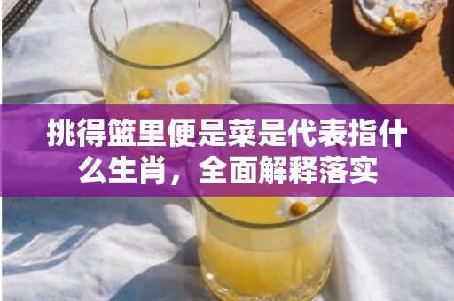 挑得篮里便是菜是代表指什么生肖，全面解释落实