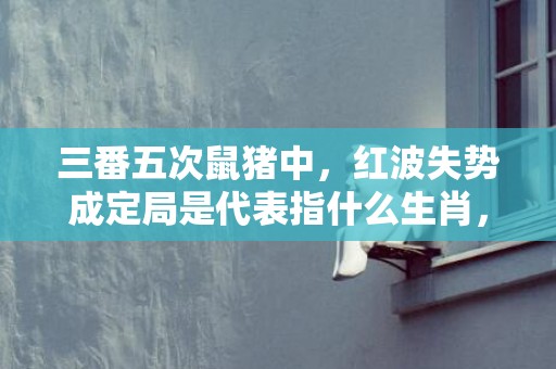 三番五次鼠猪中，红波失势成定局是代表指什么生肖，全面解释落实