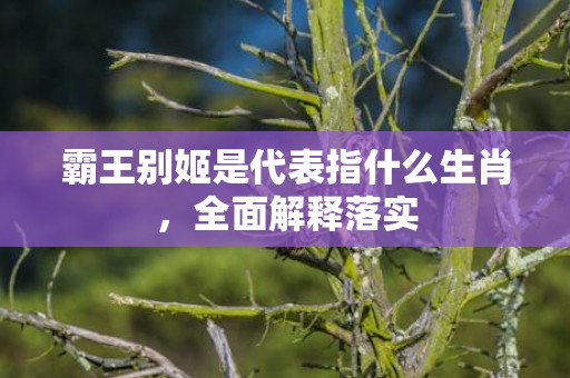 霸王别姬是代表指什么生肖，全面解释落实