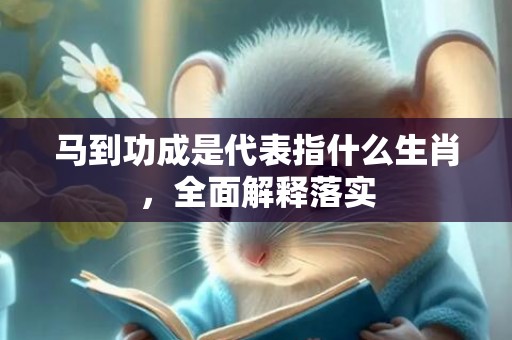 马到功成是代表指什么生肖，全面解释落实