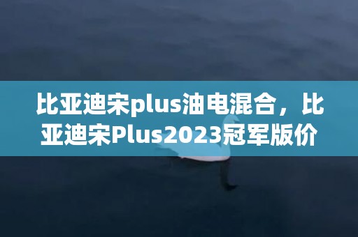 比亚迪宋plus油电混合，比亚迪宋Plus2023冠军版价格一览(DM-i+EV)