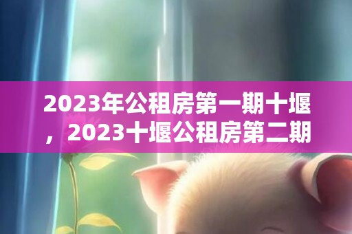 2023年公租房第一期十堰，2023十堰公租房第二期配租公告