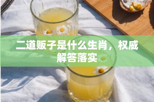 二道贩子是什么生肖，权威解答落实
