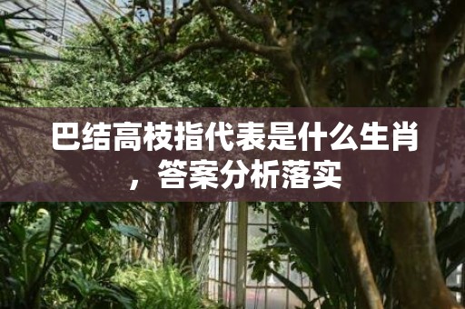 巴结高枝指代表是什么生肖，答案分析落实