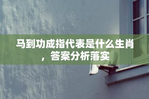 马到功成指代表是什么生肖，答案分析落实