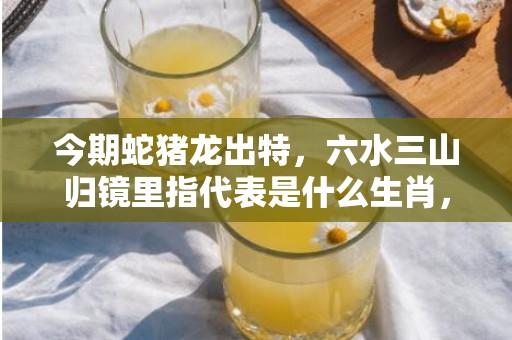 今期蛇猪龙出特，六水三山归镜里指代表是什么生肖，答案分析落实