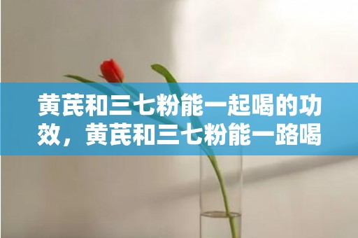 黄芪和三七粉能一起喝的功效，黄芪和三七粉能一路喝吗  黄芪和三七粉的准确服法是什么