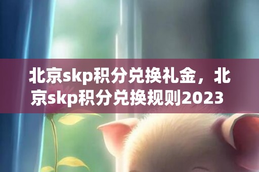 北京skp积分兑换礼金，北京skp积分兑换规则2023 skp240万积分等于多少钱