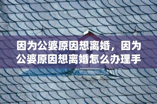 因为公婆原因想离婚，因为公婆原因想离婚怎么办理手续(办理离婚手续流程)