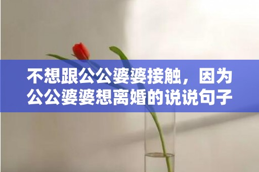 不想跟公公婆婆接触，因为公公婆婆想离婚的说说句子怎么写？暗示因婆婆离婚的句子
