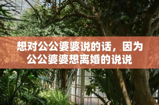 想对公公婆婆说的话，因为公公婆婆想离婚的说说