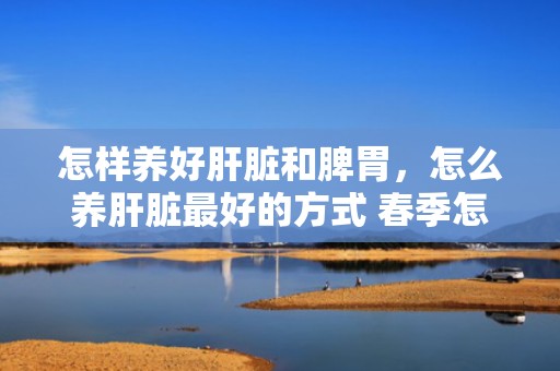 怎样养好肝脏和脾胃，怎么养肝脏最好的方式 春季怎么养肝