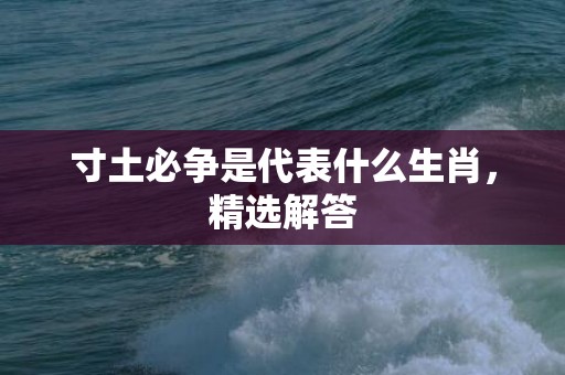 寸土必争是代表什么生肖，精选解答