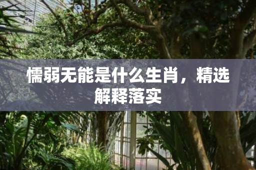 懦弱无能是什么生肖，精选解释落实
