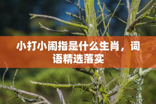 小打小闹指是什么生肖，词语精选落实