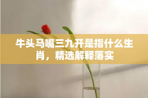 牛头马嘴三九开是指什么生肖，精选解释落实