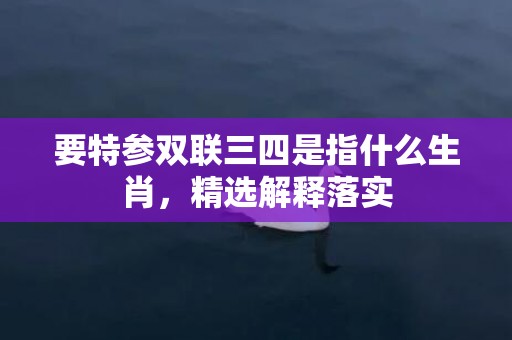 要特参双联三四是指什么生肖，精选解释落实