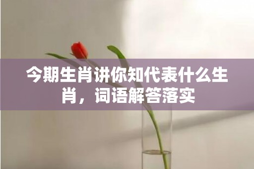 今期生肖讲你知代表什么生肖，词语解答落实