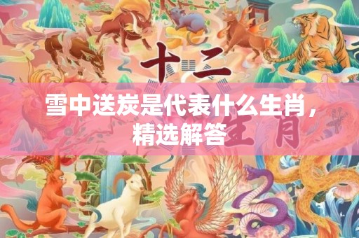 雪中送炭是代表什么生肖，精选解答