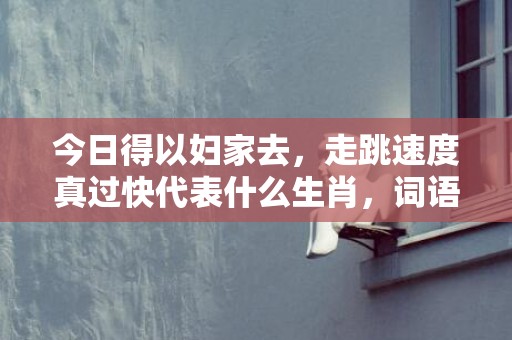 今日得以妇家去，走跳速度真过快代表什么生肖，词语解答落实