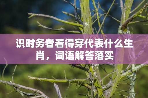 识时务者看得穿代表什么生肖，词语解答落实