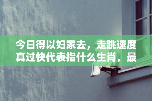 今日得以妇家去，走跳速度真过快代表指什么生肖，最佳精选落实